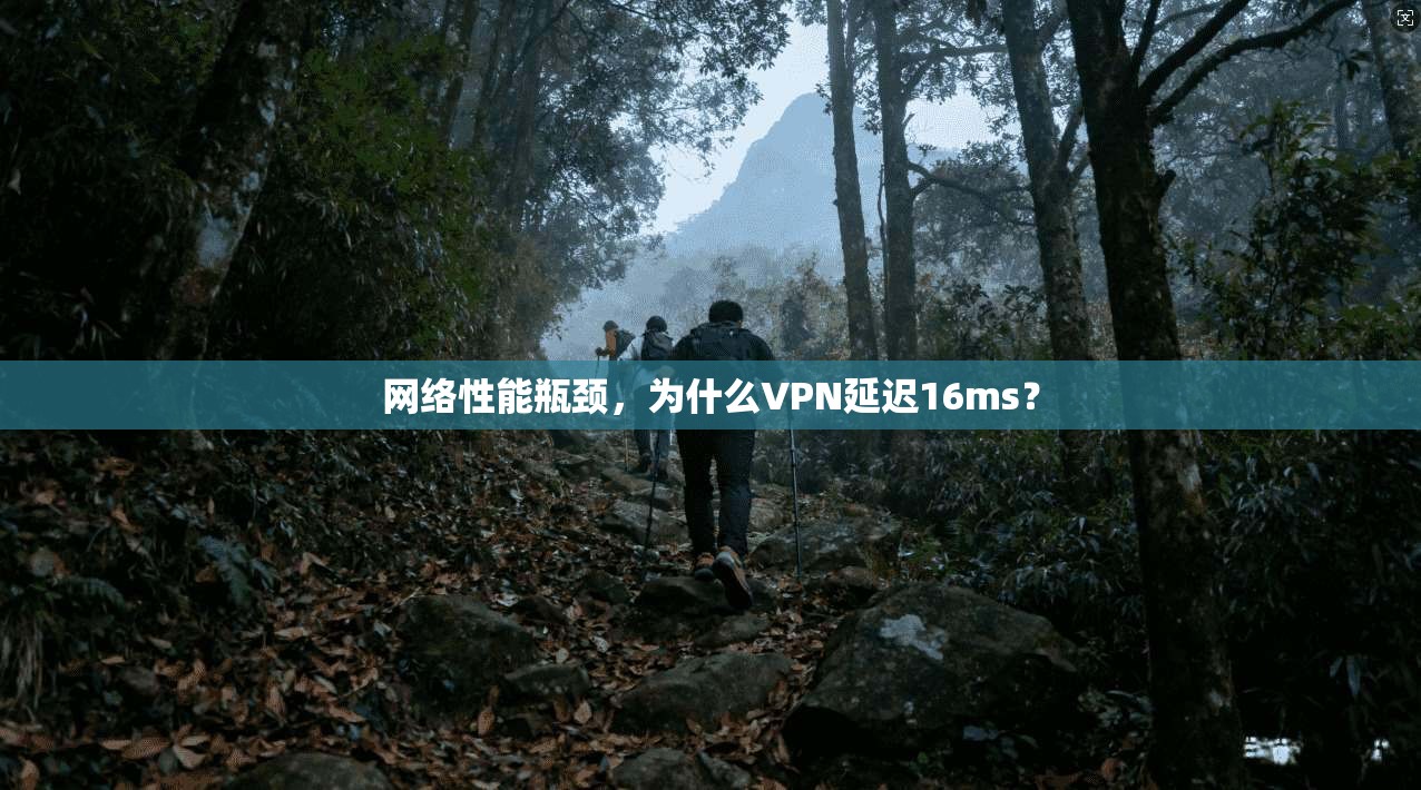 网络性能瓶颈，为什么VPN延迟16ms？