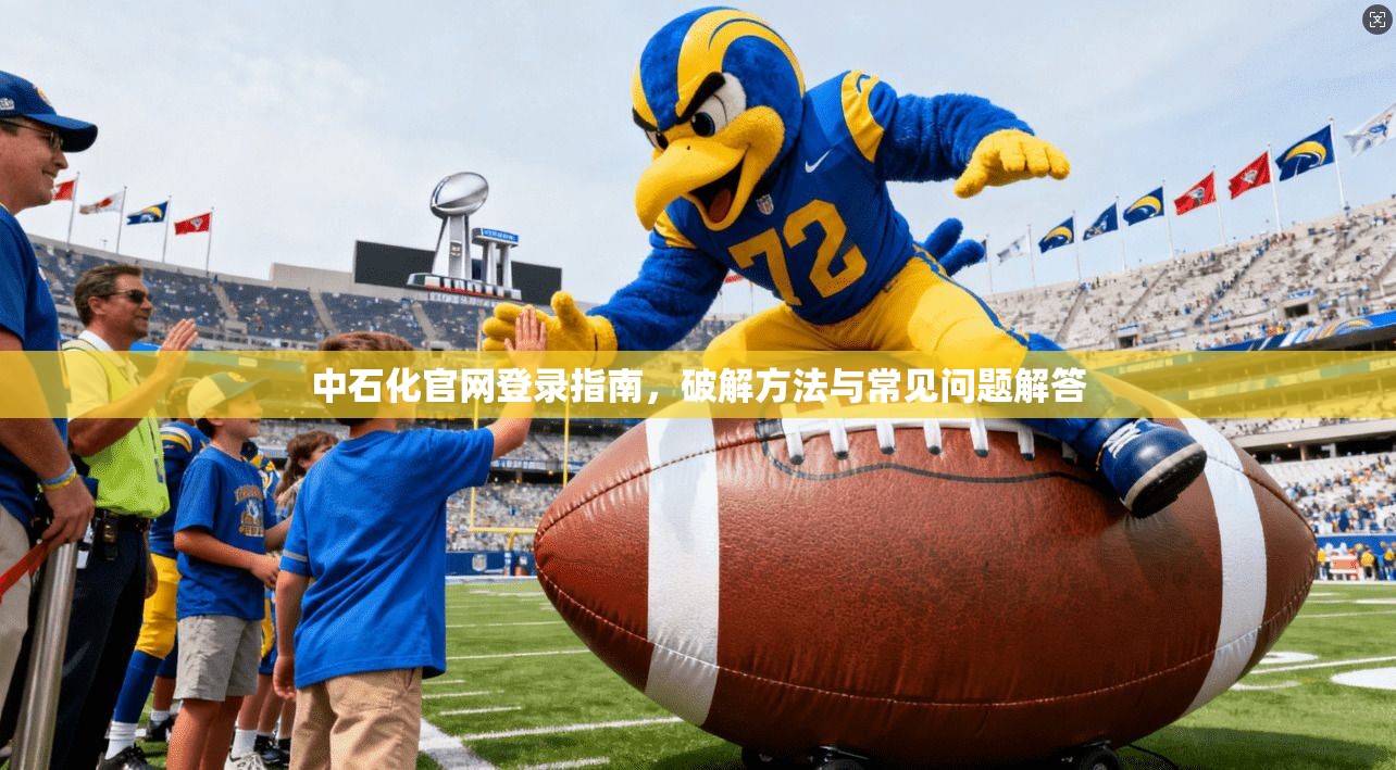 中石化官网登录指南，破解方法与常见问题解答