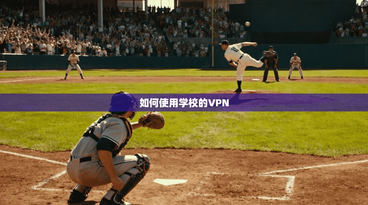 如何使用学校的VPN