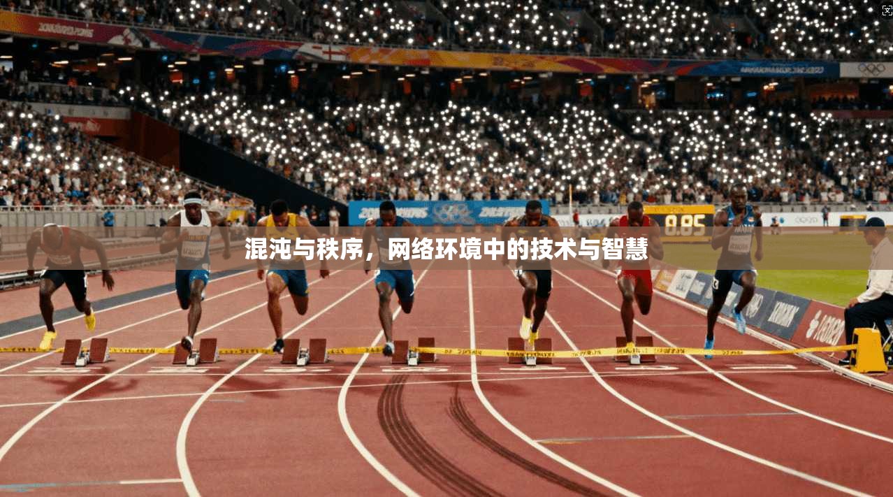 混沌与秩序，网络环境中的技术与智慧