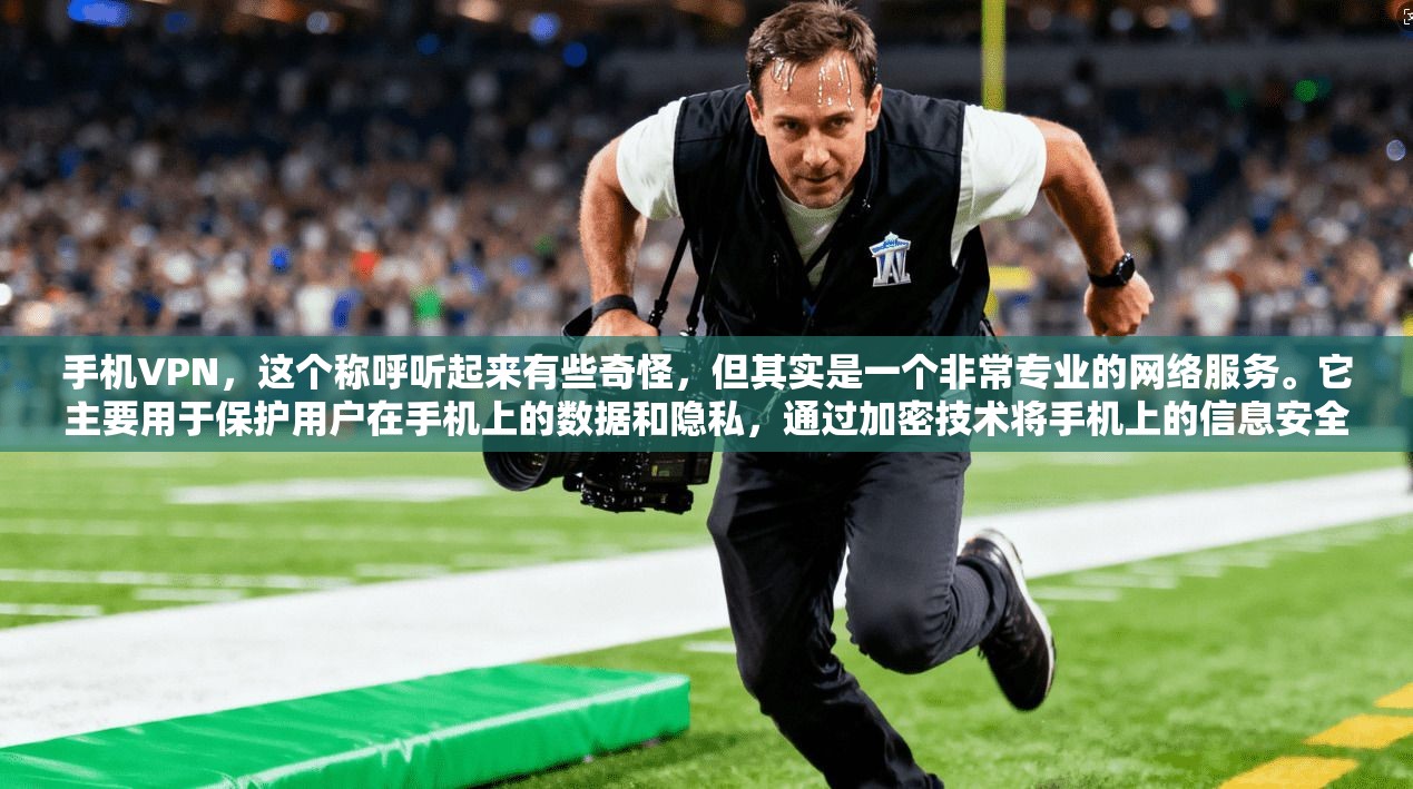 手机VPN，这个称呼听起来有些奇怪，但其实是一个非常专业的网络服务。它主要用于保护用户在手机上的数据和隐私，通过加密技术将手机上的信息安全传输到云端，确保数据不被滥用或泄露