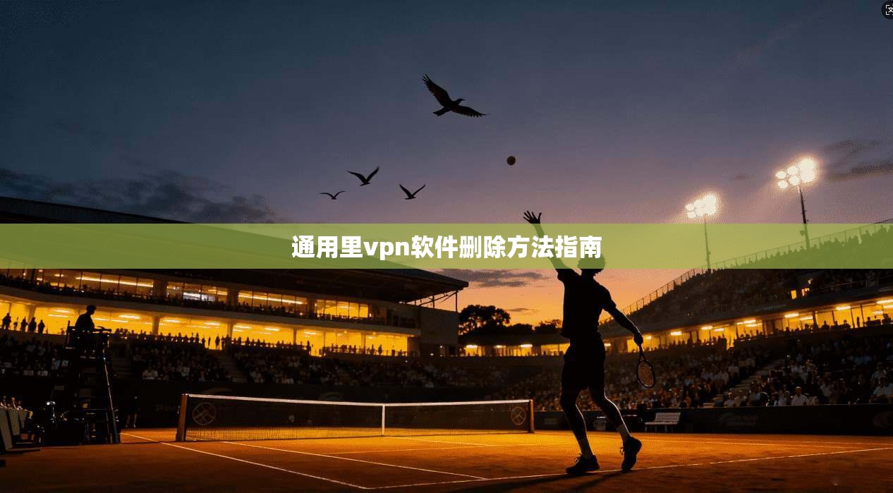 通用里vpn软件删除方法指南