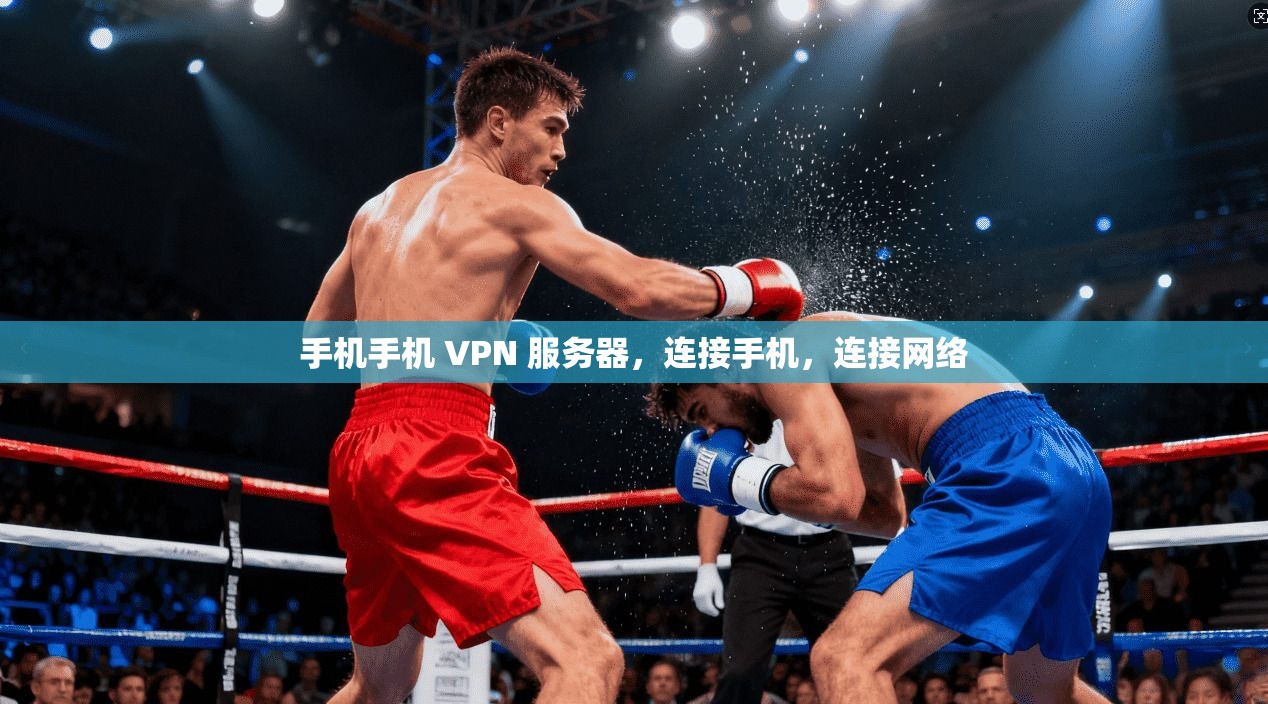 手机手机 VPN 服务器，连接手机，连接网络