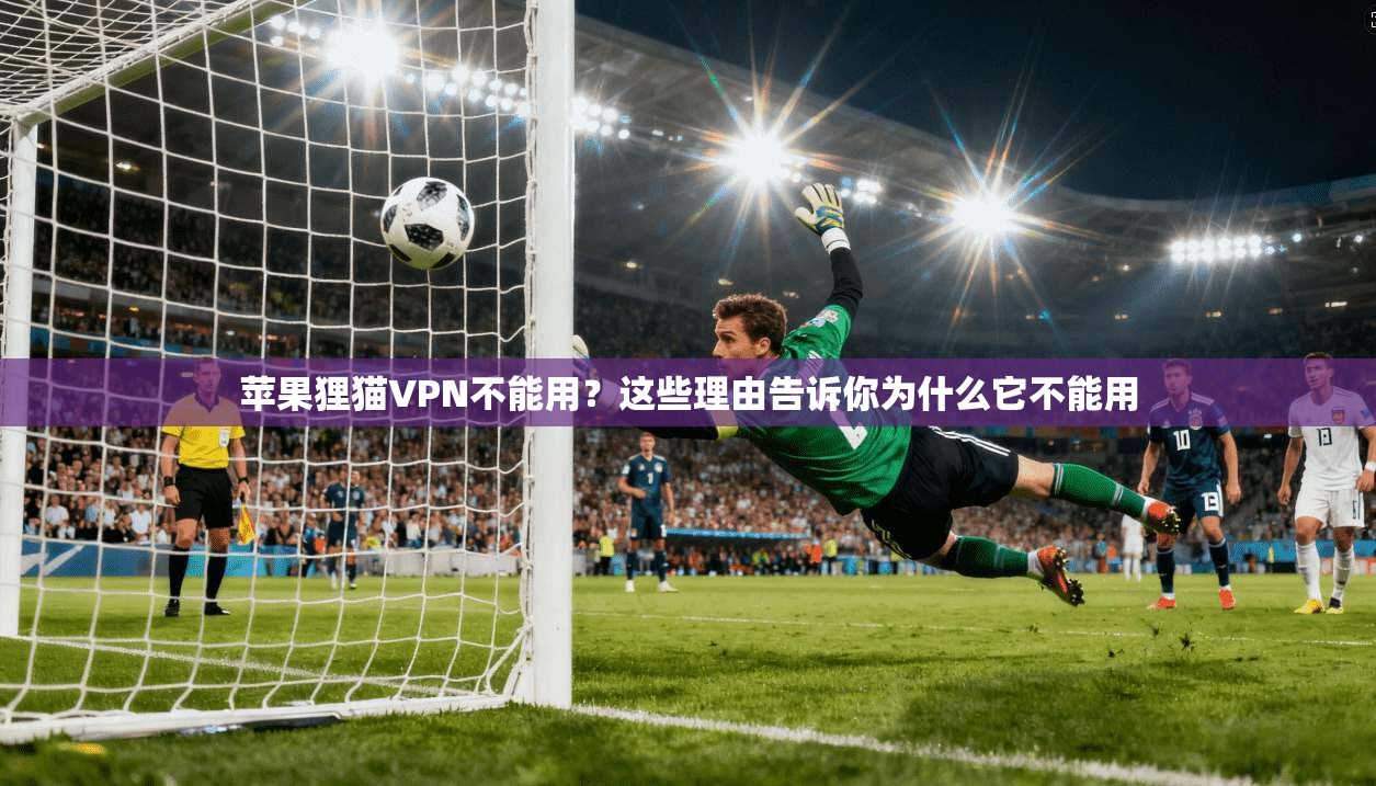 苹果狸猫VPN不能用?这些理由告诉你为什么它不能用