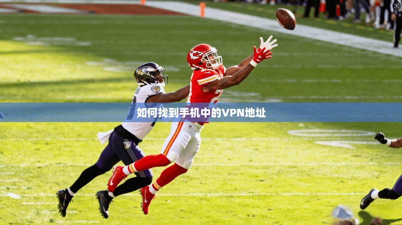 如何找到手机中的VPN地址
