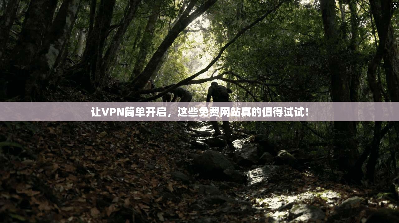 让VPN简单开启，这些免费网站真的值得试试！