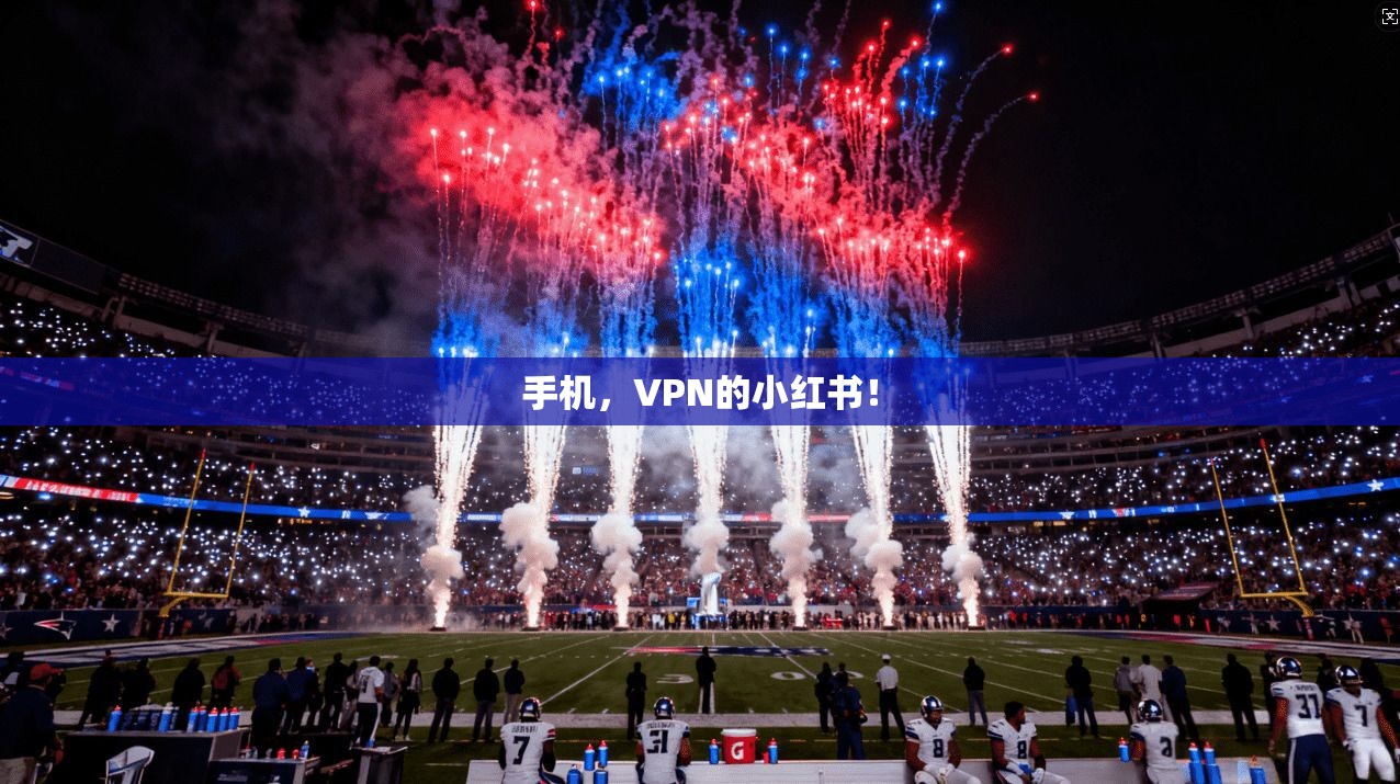 手机，VPN的小红书！