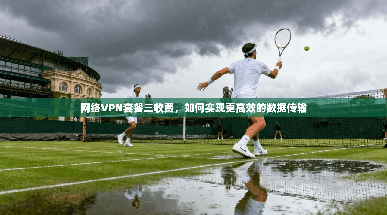 网络VPN套餐三收费，如何实现更高效的数据传输