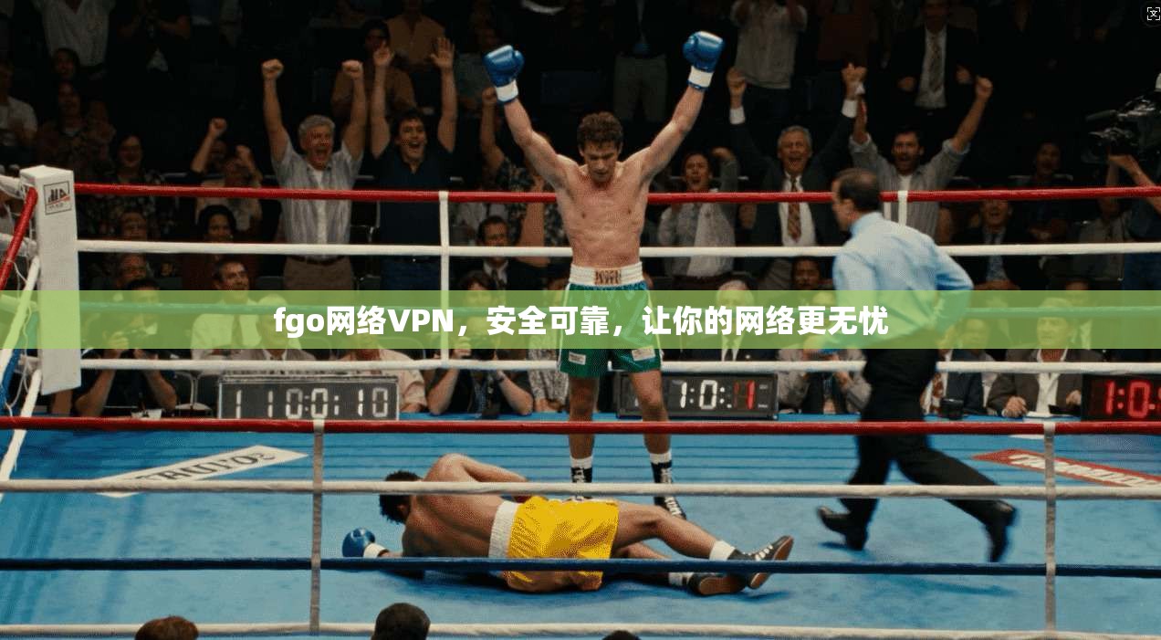 fgo网络VPN，安全可靠，让你的网络更无忧