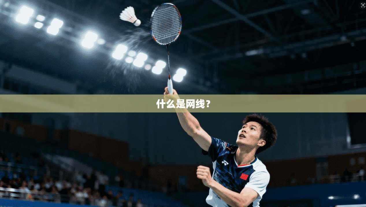 什么是网线？