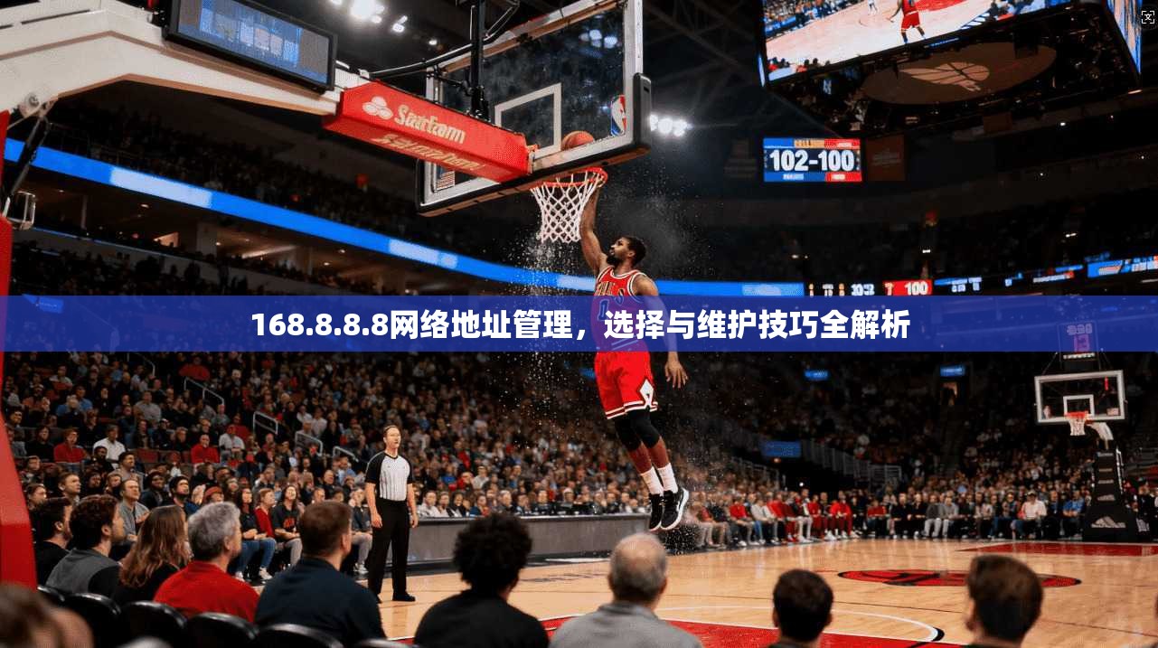 168.8.8.8网络地址管理，选择与维护技巧全解析