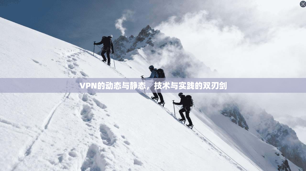 VPN的动态与静态,技术与实践的双刃剑