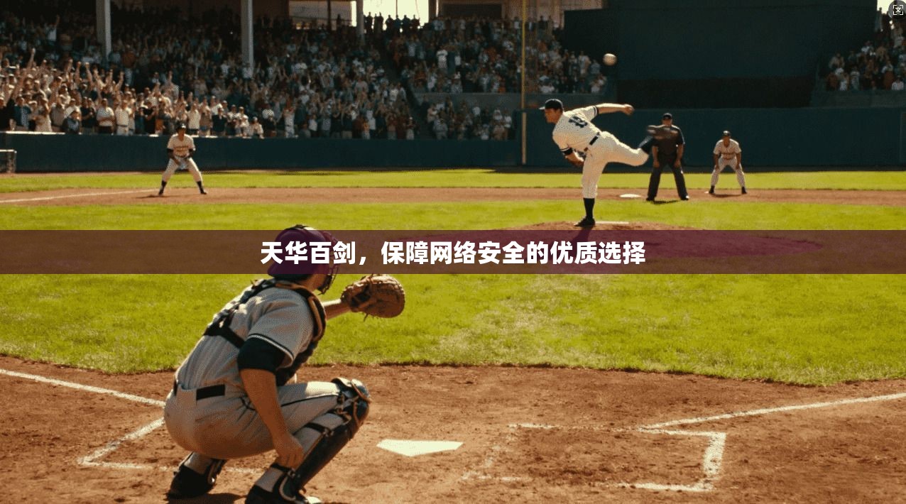 天华百剑，保障网络安全的优质选择