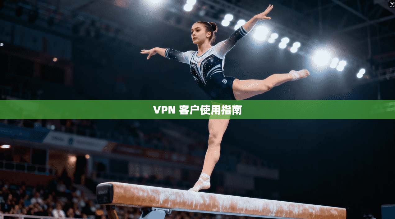VPN 客户使用指南