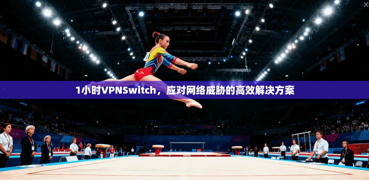 1小时VPNSwitch，应对网络威胁的高效解决方案