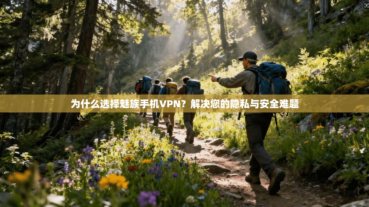 为什么选择魅族手机VPN？解决您的隐私与安全难题
