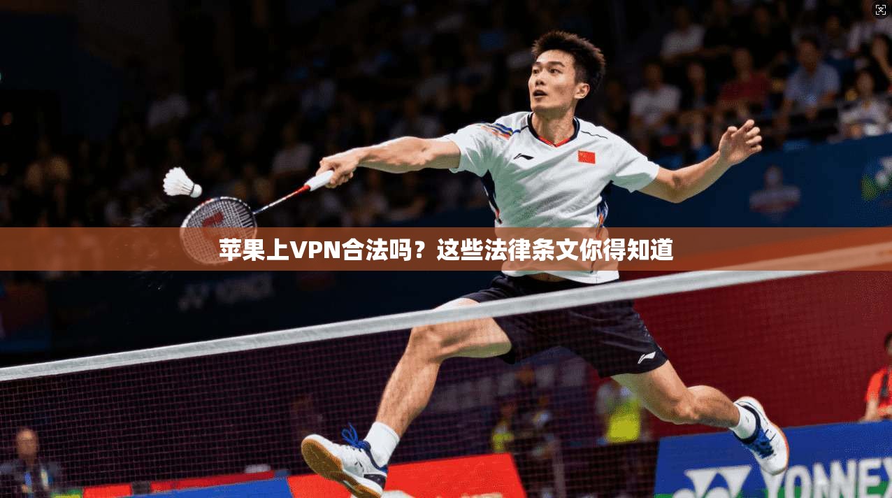 苹果上VPN合法吗？这些法律条文你得知道