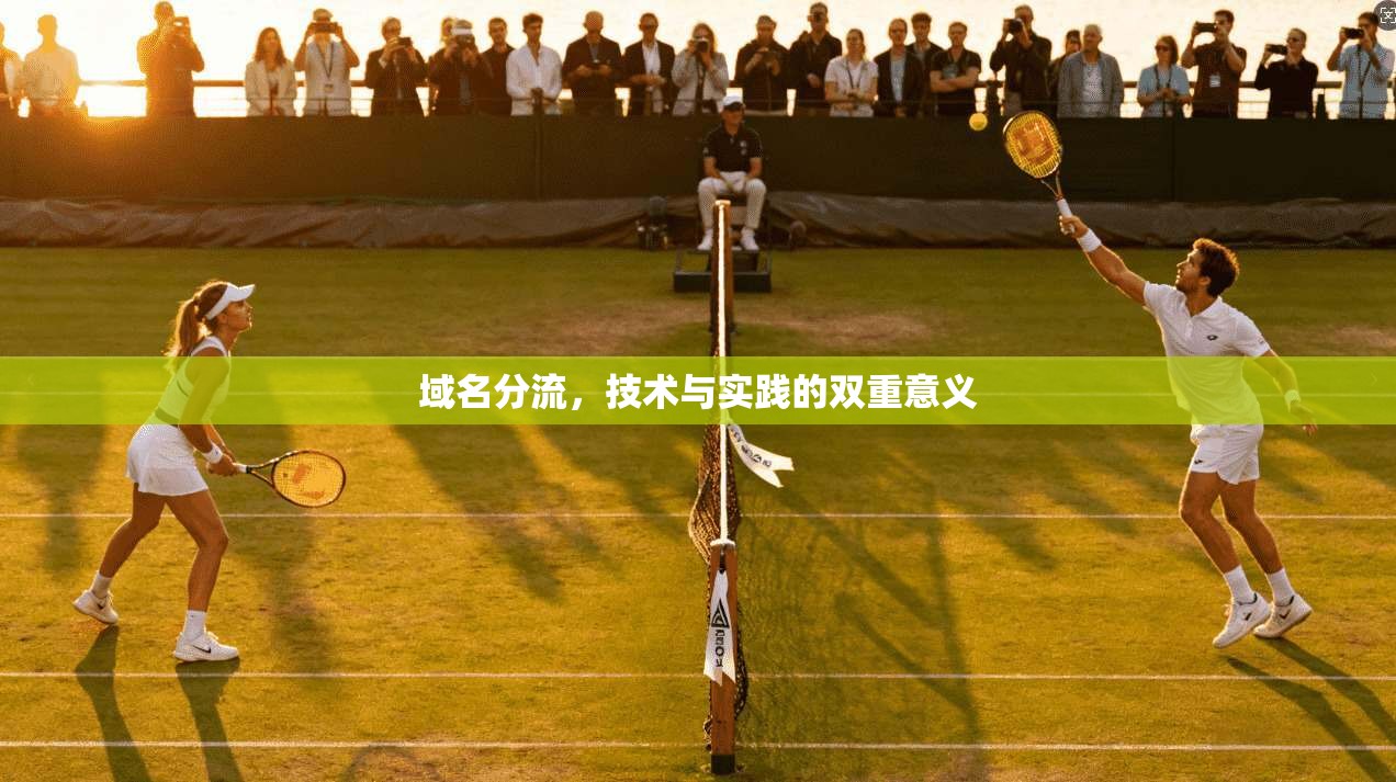 域名分流，技术与实践的双重意义