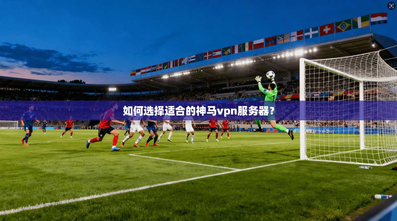 如何选择适合的神马vpn服务器？
