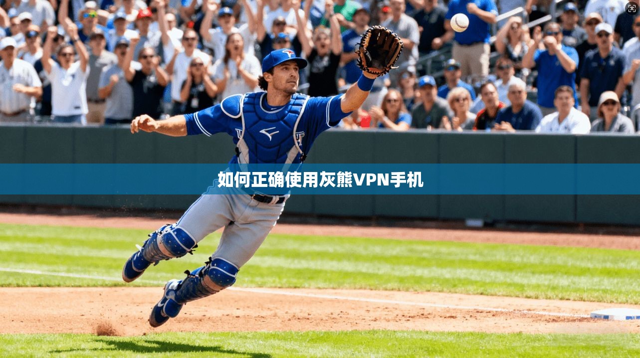 如何正确使用灰熊VPN手机