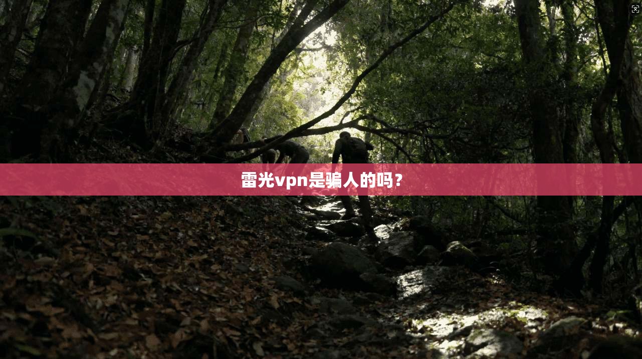 雷光vpn是骗人的吗？