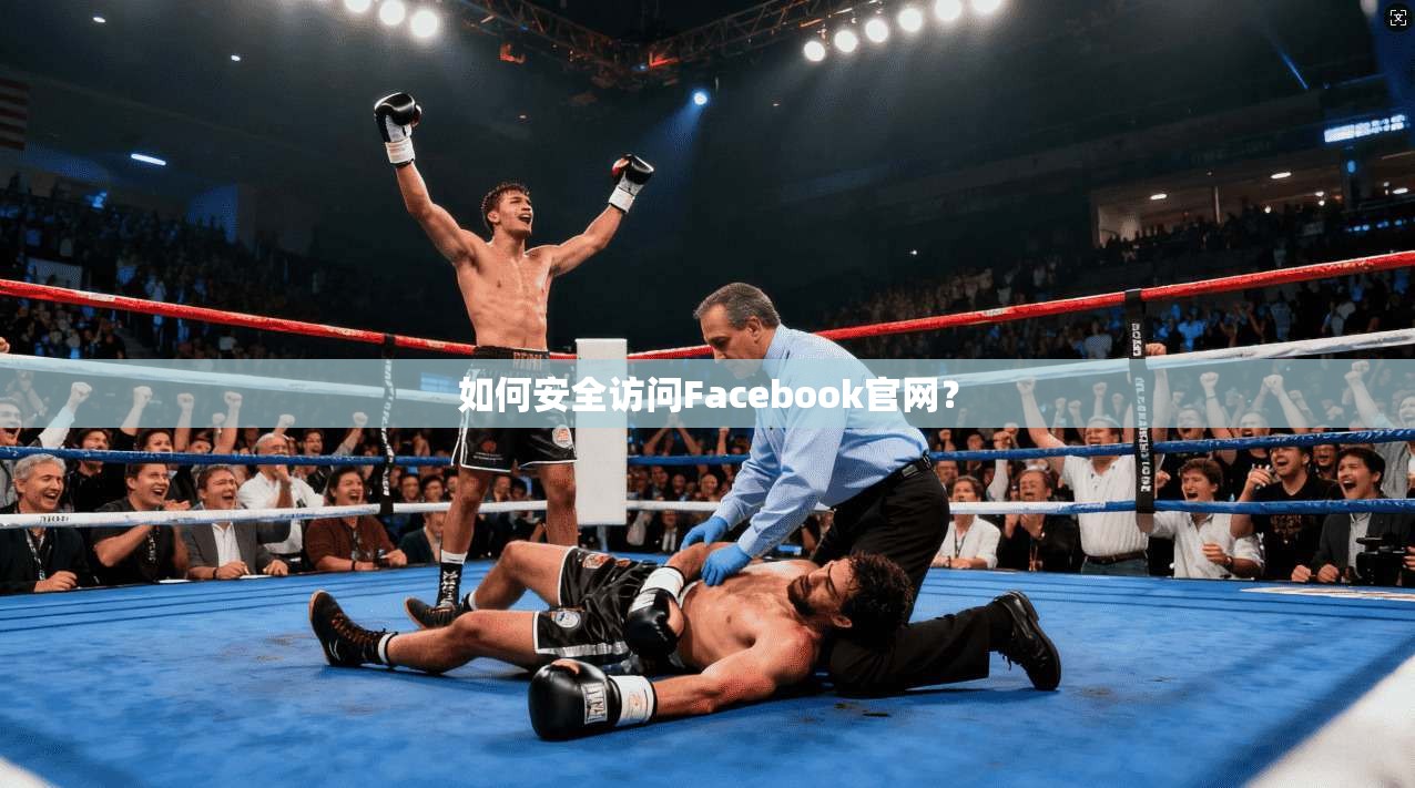 如何安全访问Facebook官网？