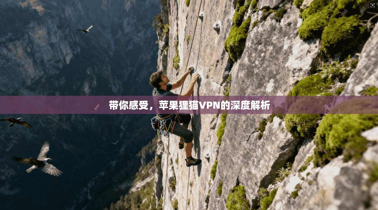 带你感受，苹果狸猫VPN的深度解析