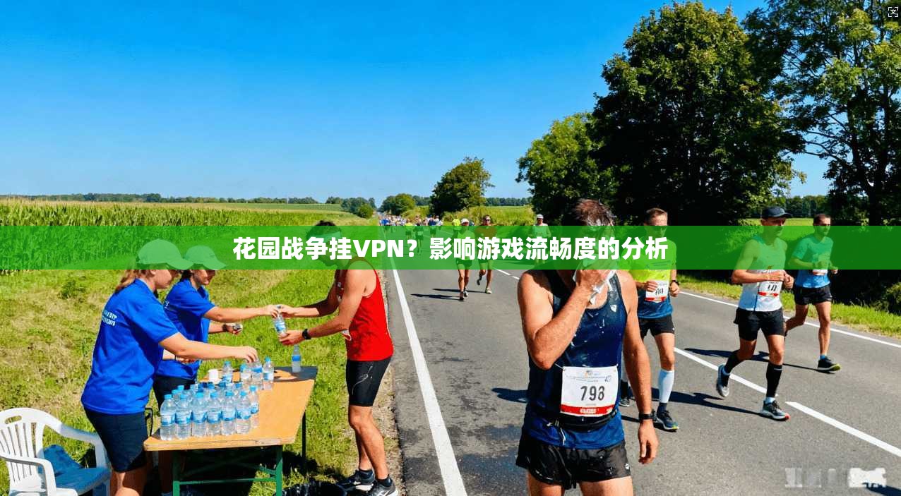 花园战争挂VPN？影响游戏流畅度的分析