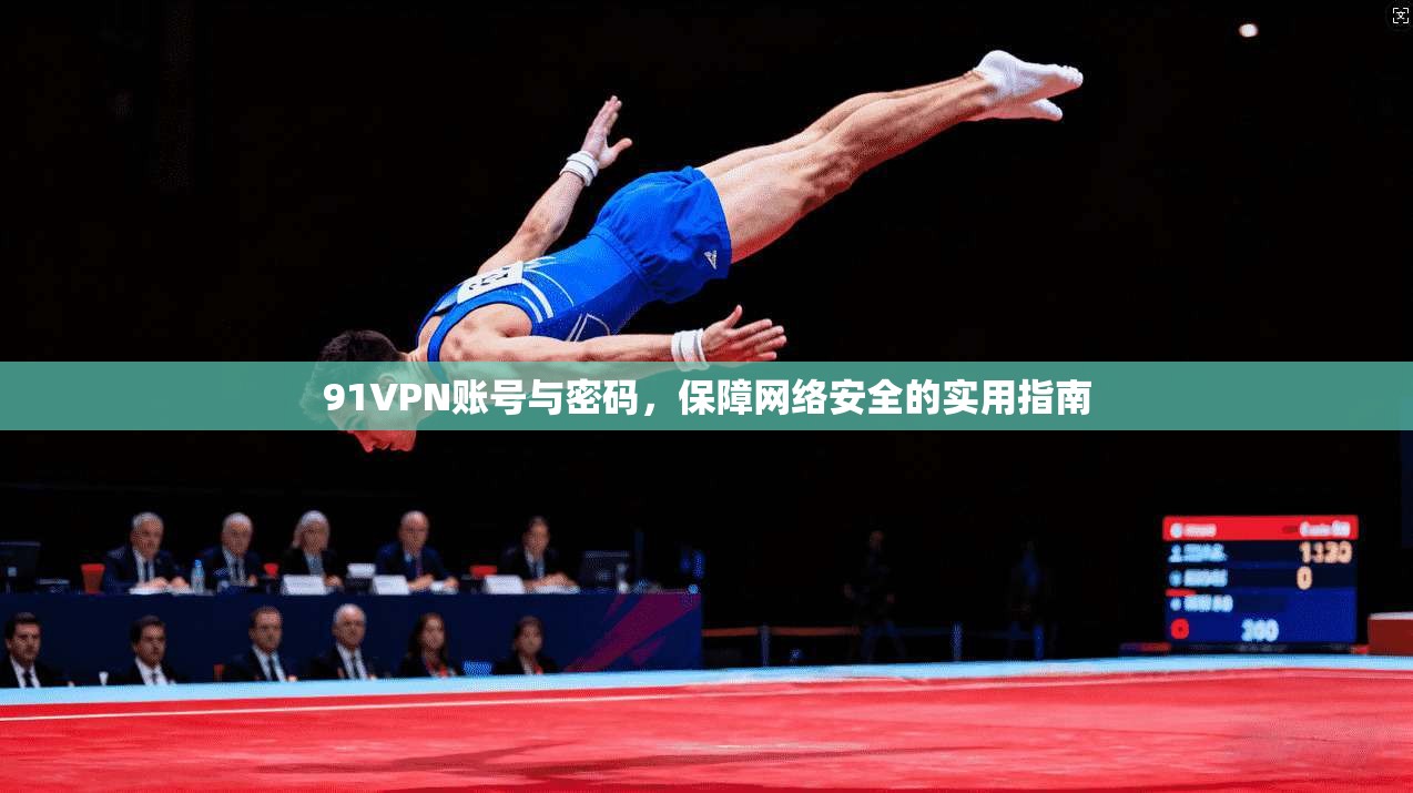91VPN账号与密码，保障网络安全的实用指南