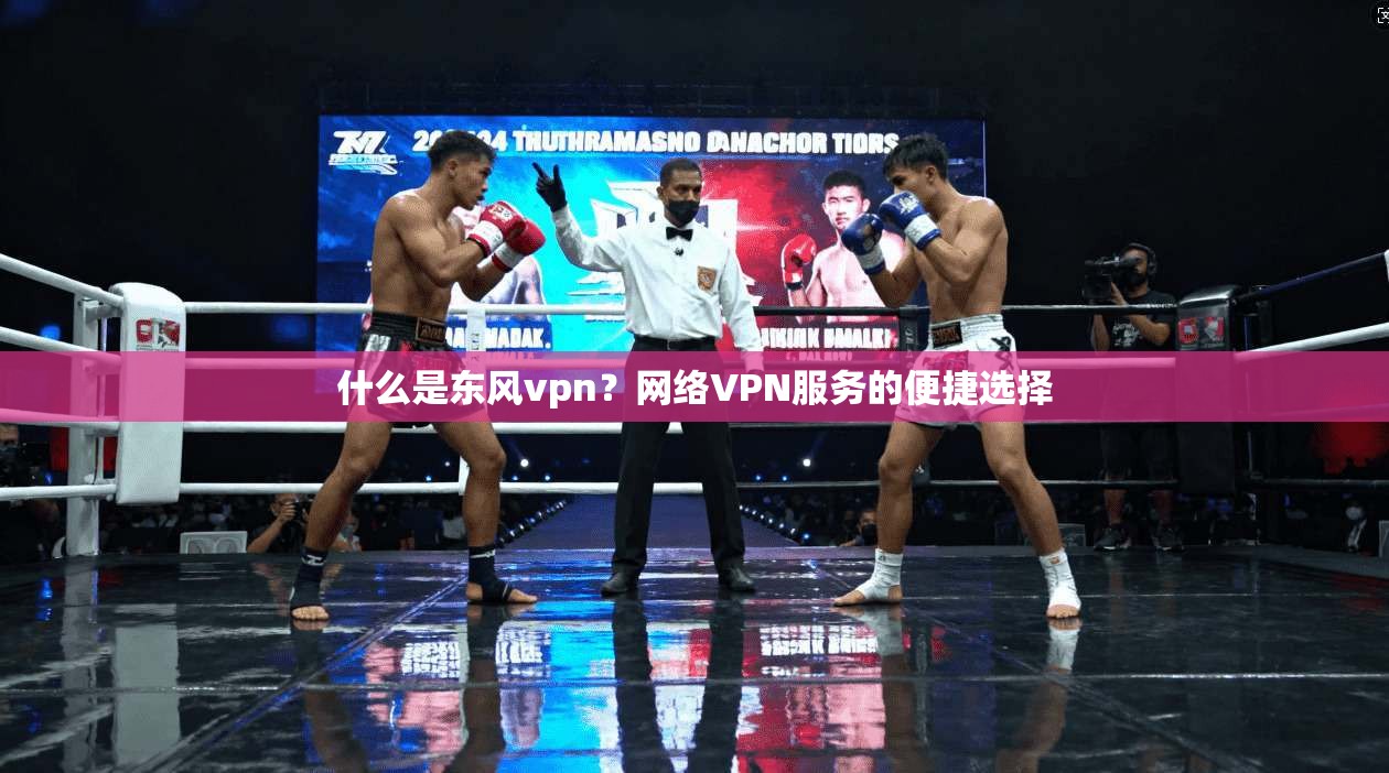 什么是东风vpn？网络VPN服务的便捷选择  第1张