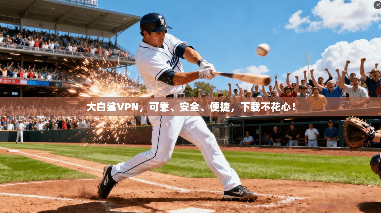 大白鲨VPN，可靠、安全、便捷，下载不花心！