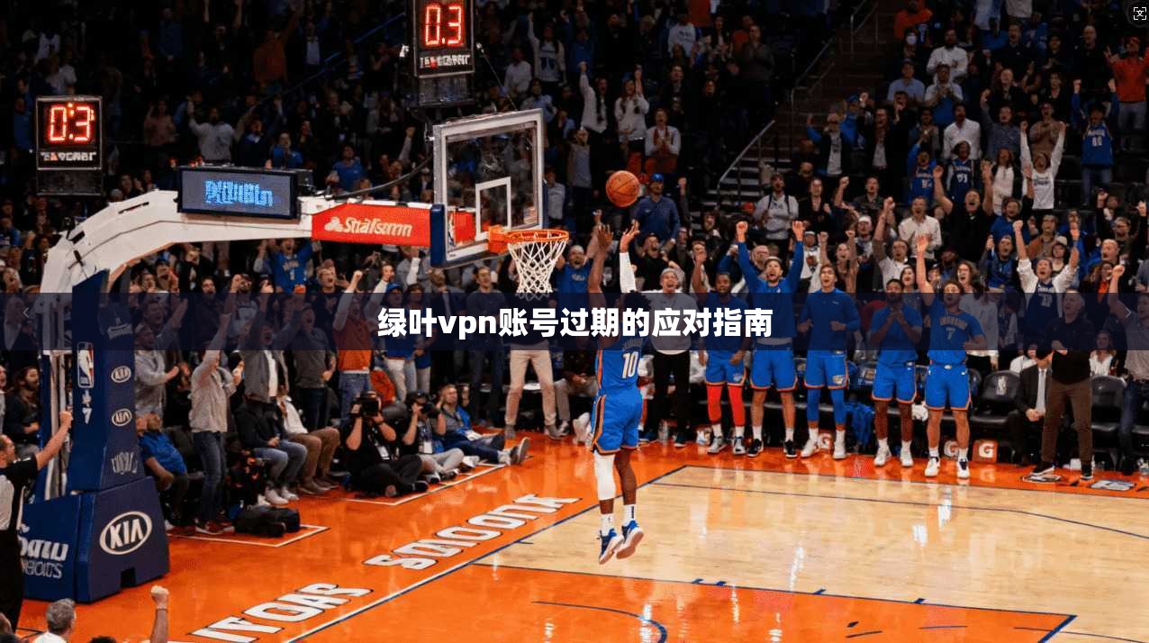 绿叶vpn账号过期的应对指南