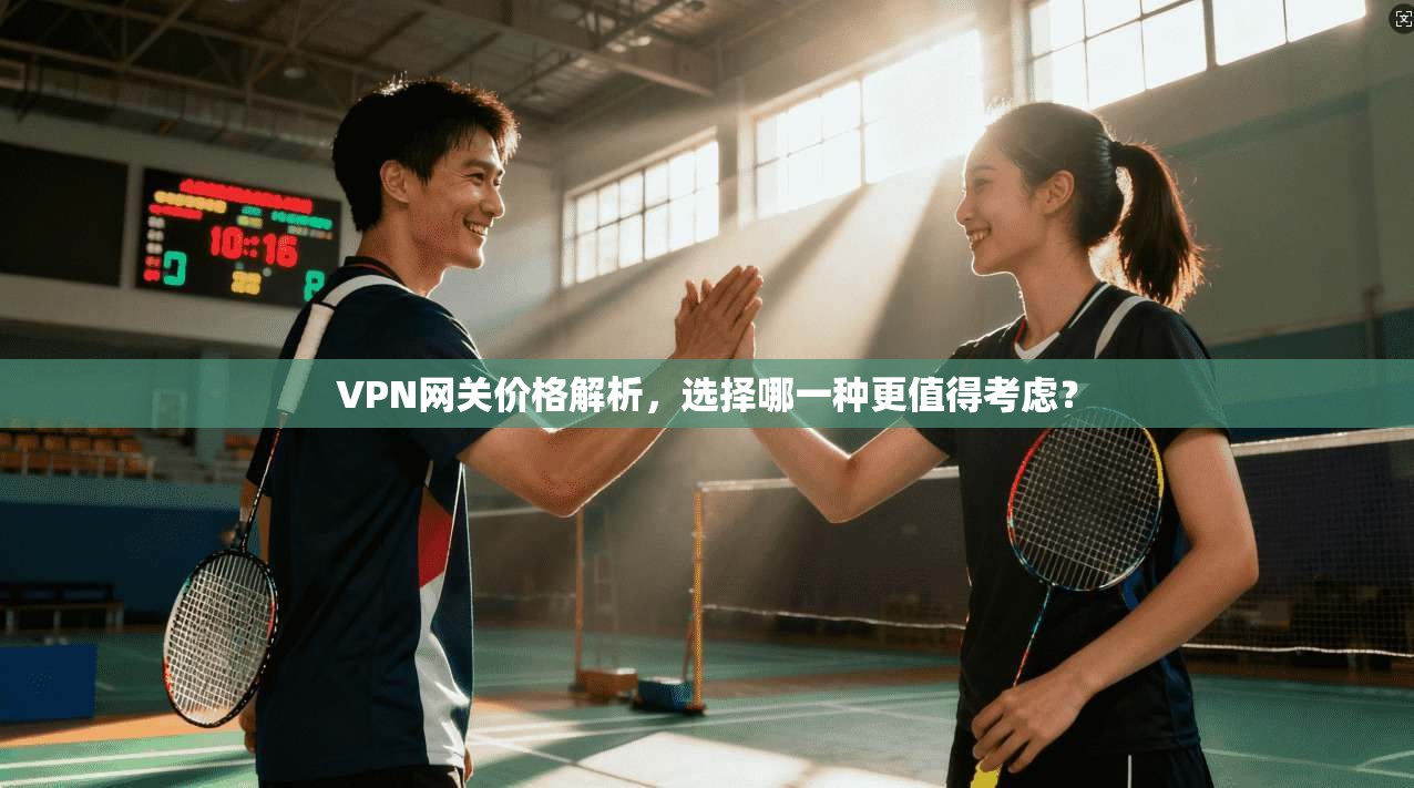 VPN网关价格解析，选择哪一种更值得考虑？