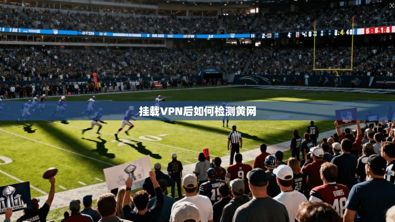 挂载VPN后如何检测黄网