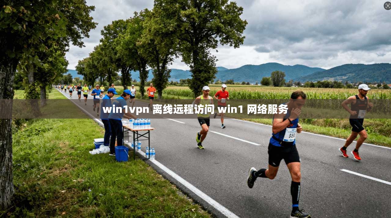 win1vpn 离线远程访问 win1 网络服务