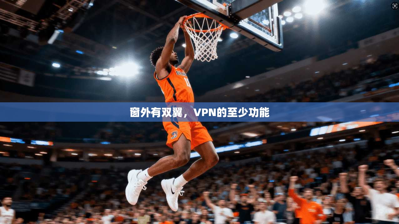窗外有双翼，VPN的至少功能