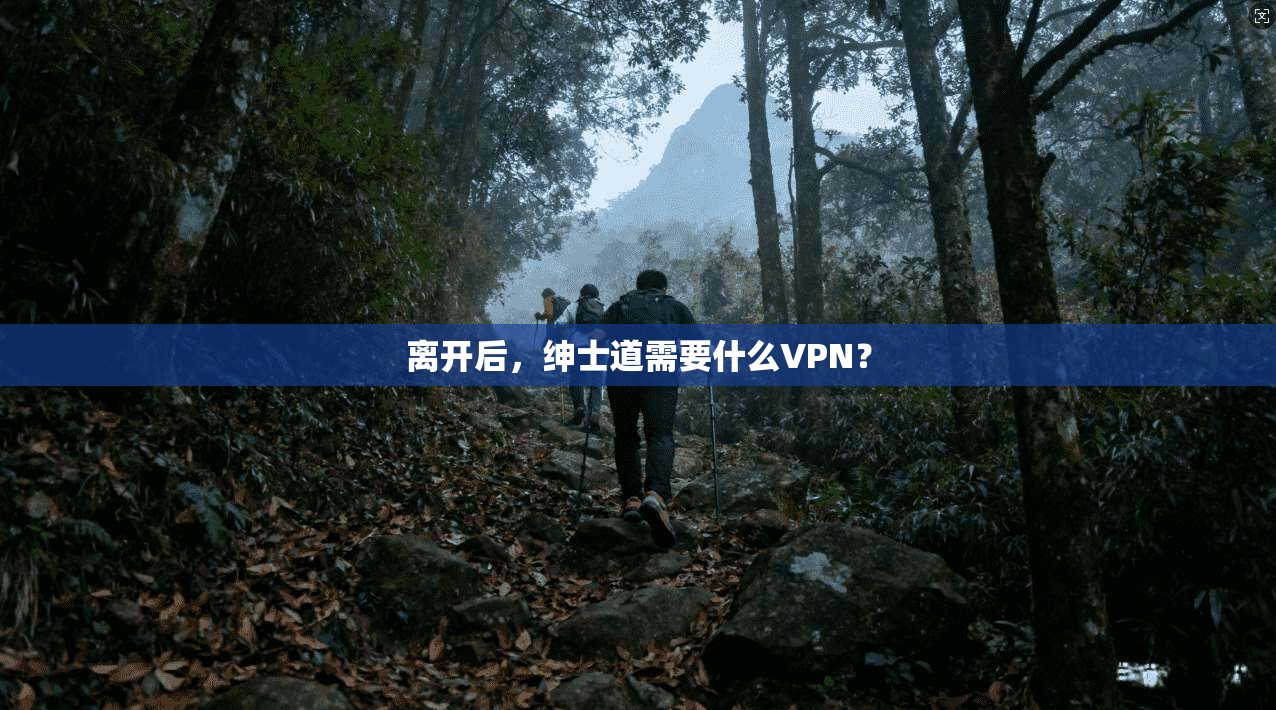 离开后，绅士道需要什么VPN？