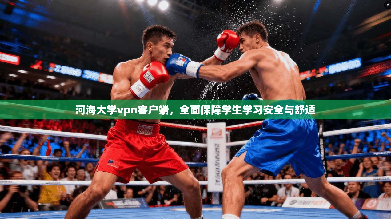 河海大学vpn客户端，全面保障学生学习安全与舒适