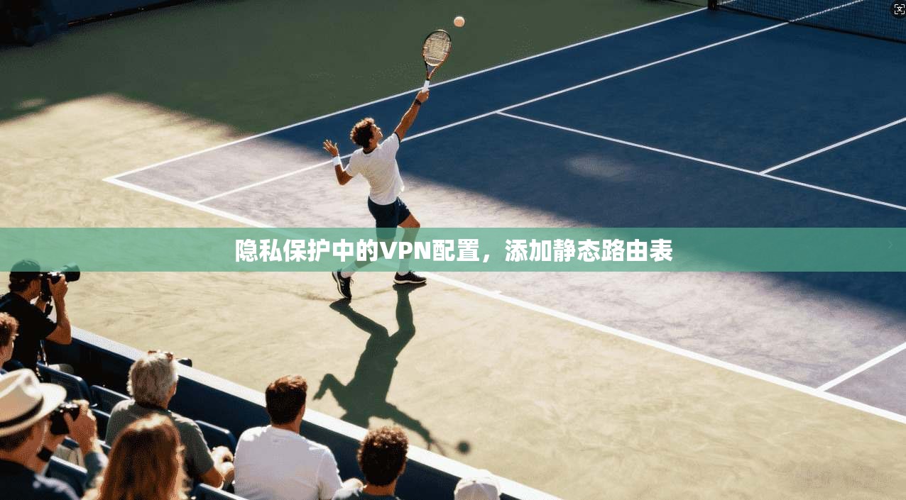 隐私保护中的VPN配置，添加静态路由表
