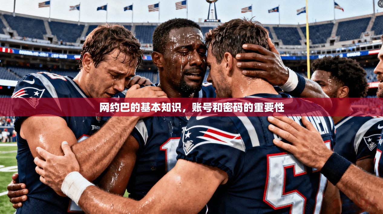 网约巴的基本知识，账号和密码的重要性