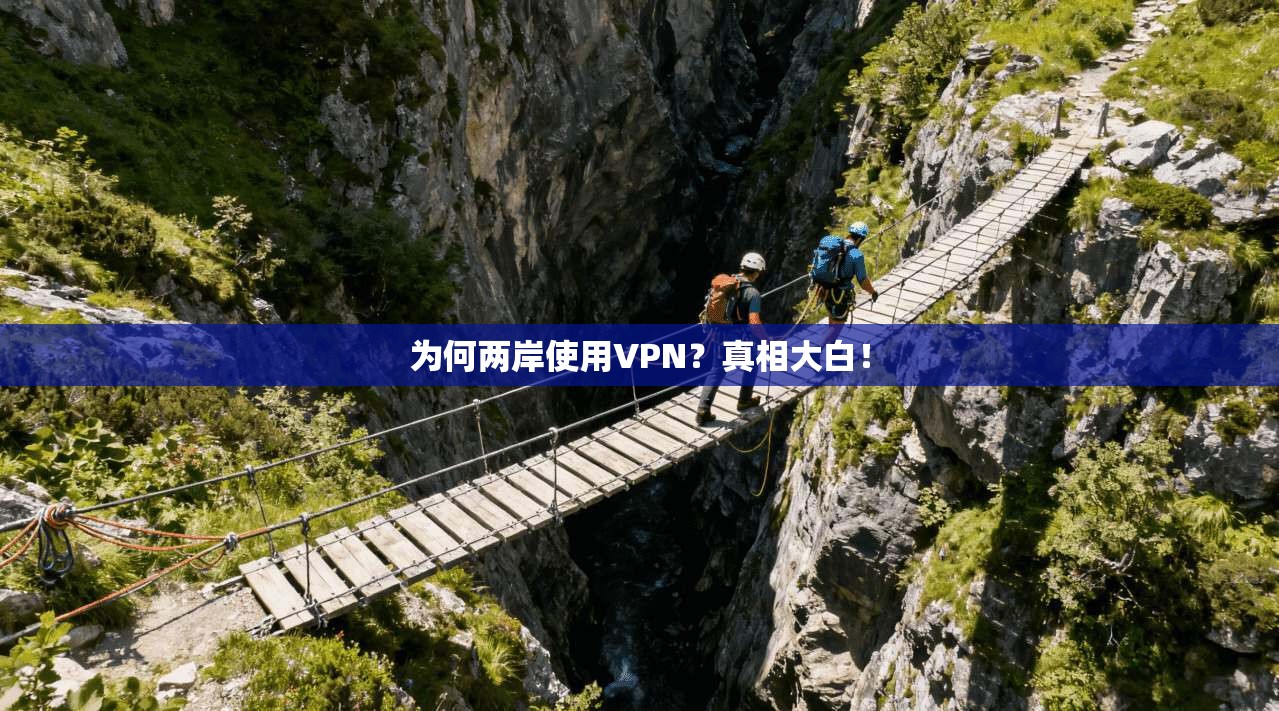 为何两岸使用VPN？真相大白！