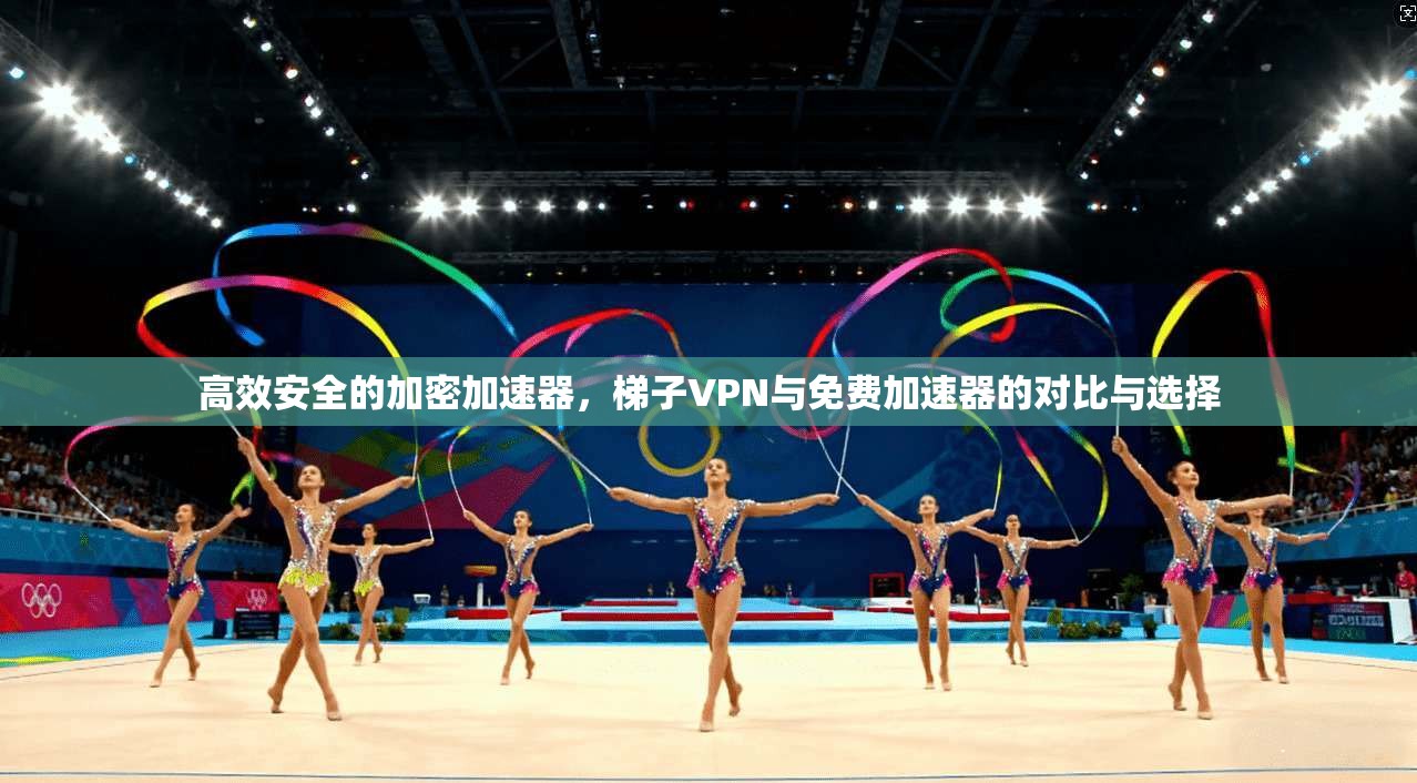 高效安全的加密加速器，梯子VPN与免费加速器的对比与选择