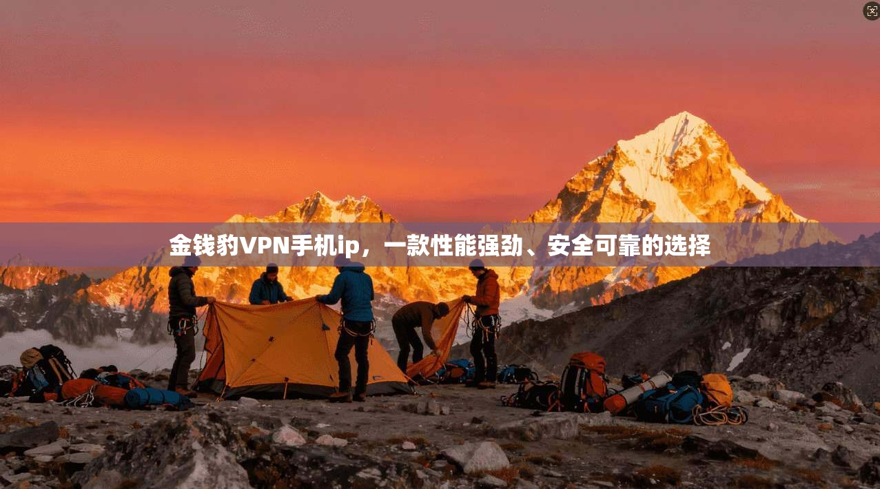 金钱豹VPN手机ip，一款性能强劲、安全可靠的选择
