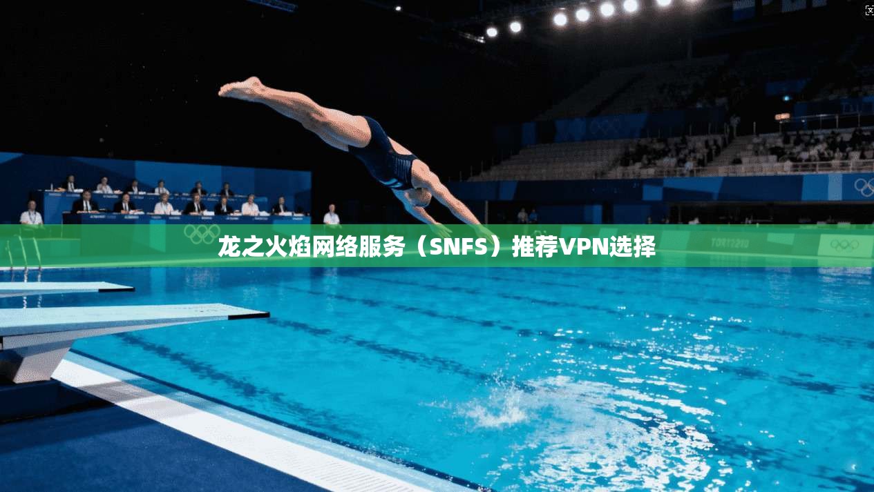 龙之火焰网络服务（SNFS）推荐VPN选择