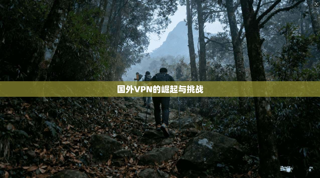 国外VPN的崛起与挑战