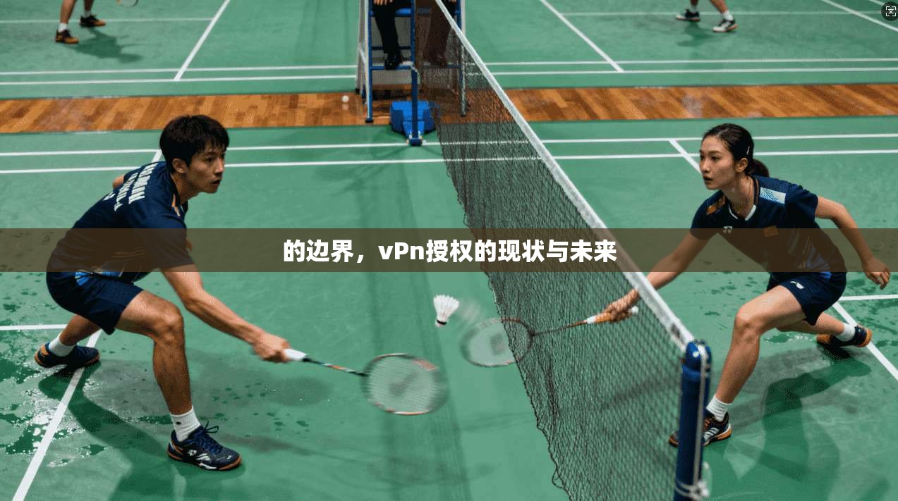 的边界，vPn授权的现状与未来