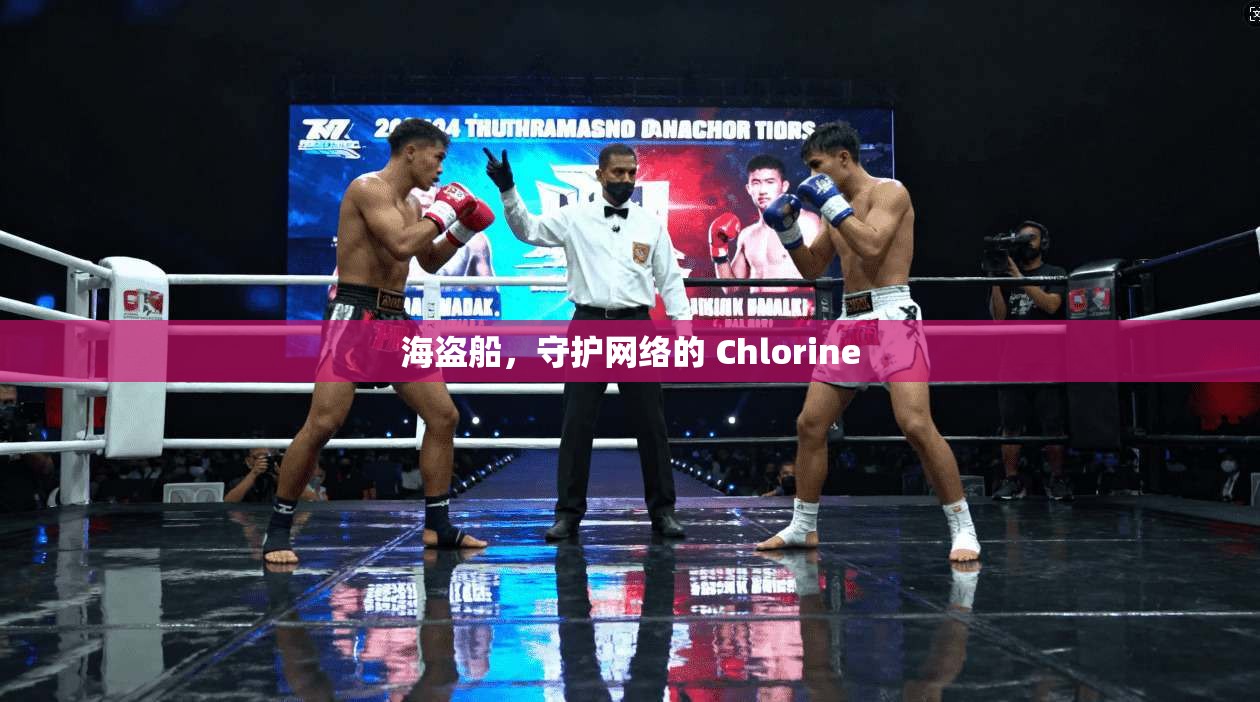 海盗船，守护网络的 Chlorine