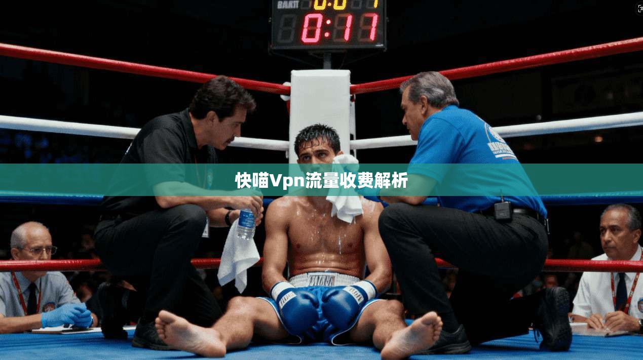 快喵Vpn流量收费解析