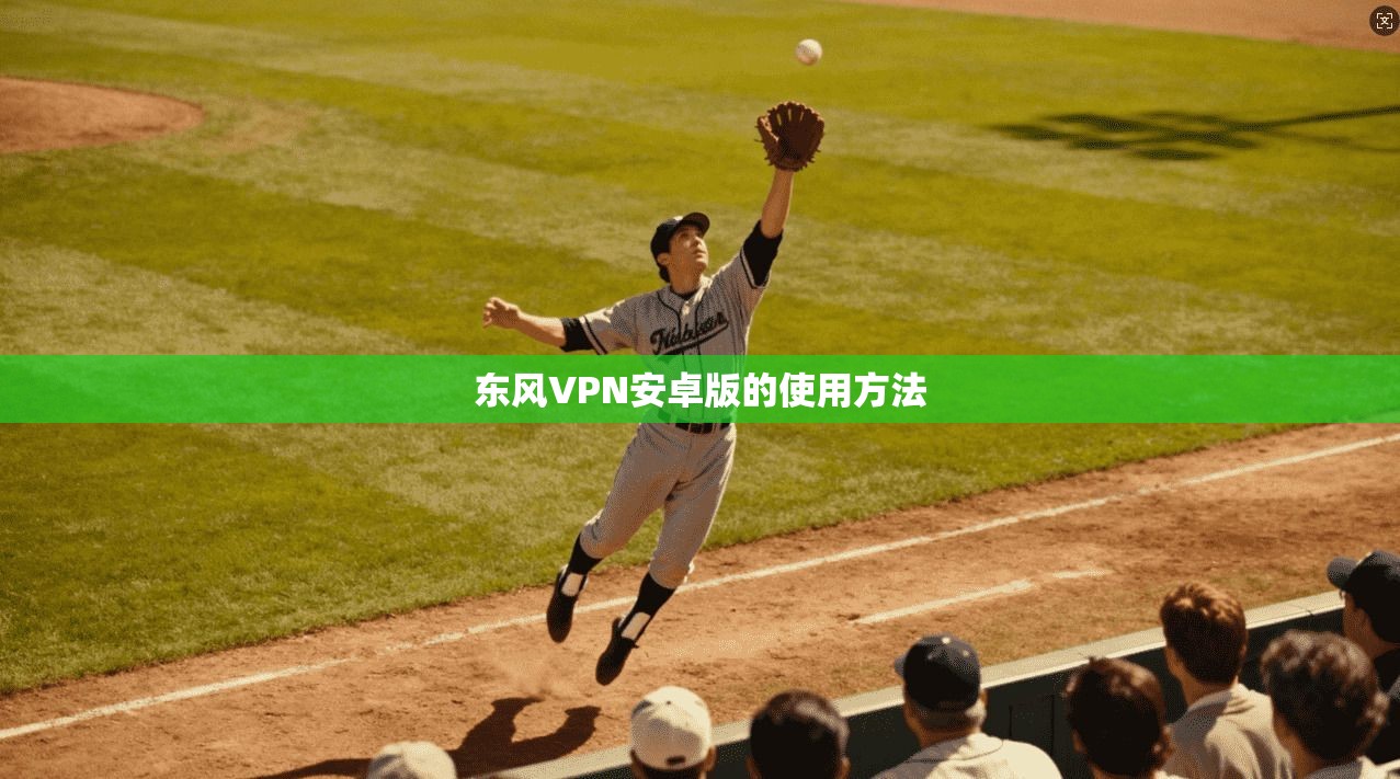 东风VPN安卓版的使用方法