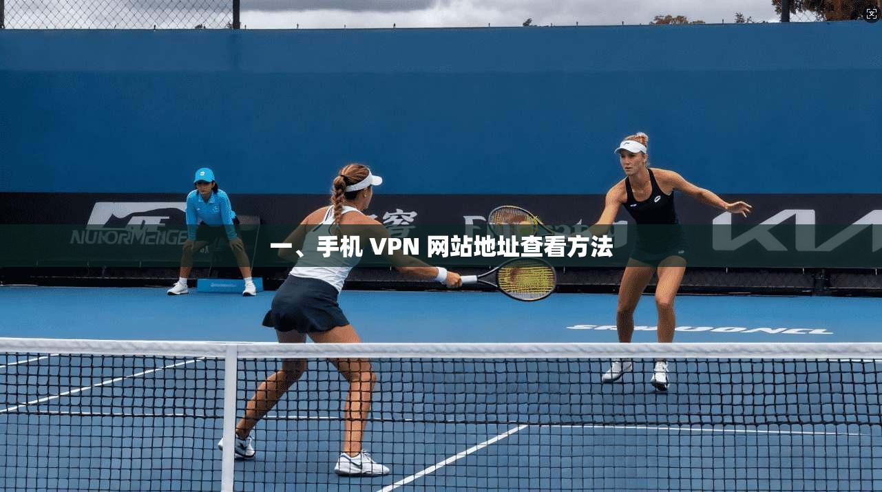 一、手机 VPN 网站地址查看方法